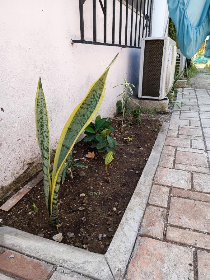 Hostal A 10 Min Del Centro De เวราครูซ ภายนอก รูปภาพ